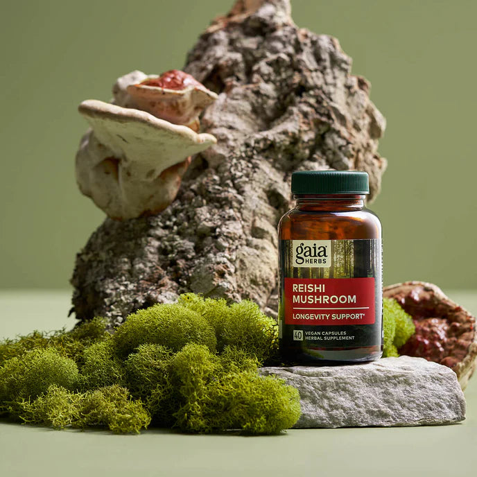 Reishi Mushroom 40vc