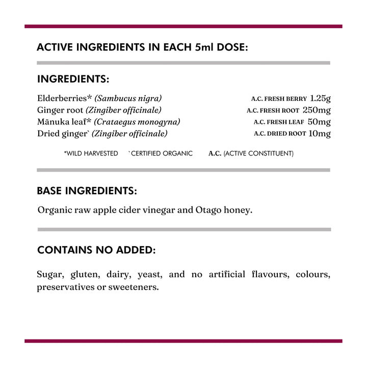 Elderberry Switchel 200ml