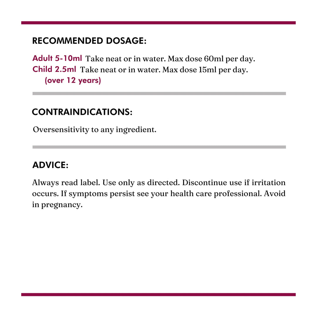 Elderberry Switchel 200ml