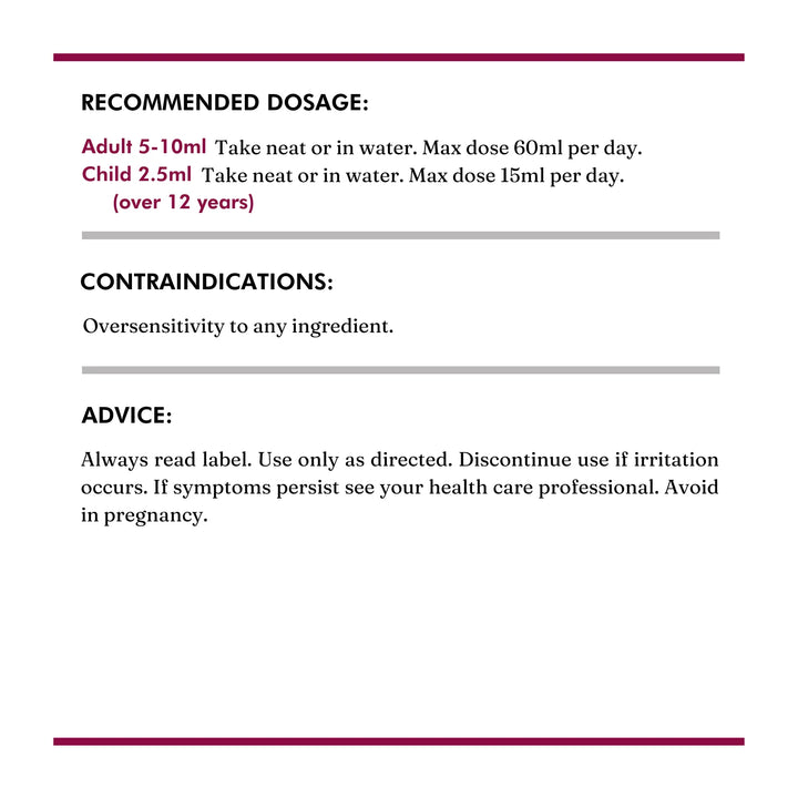 Elderberry Switchel 200ml