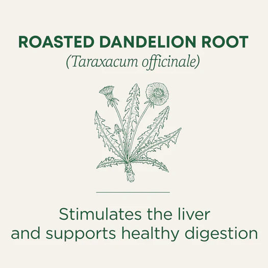 Roasted Dandelion Root 16 TBag
