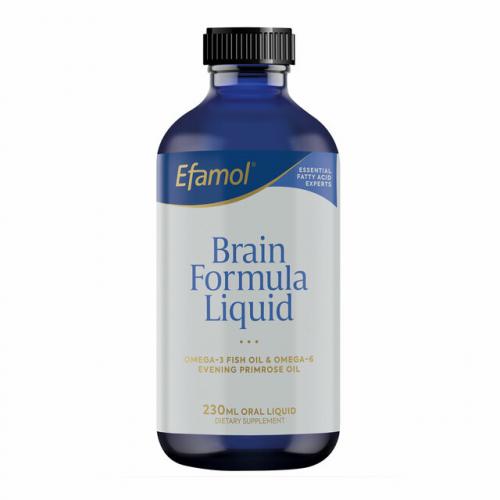 Efamol Brain Formula Liquid 480ml
