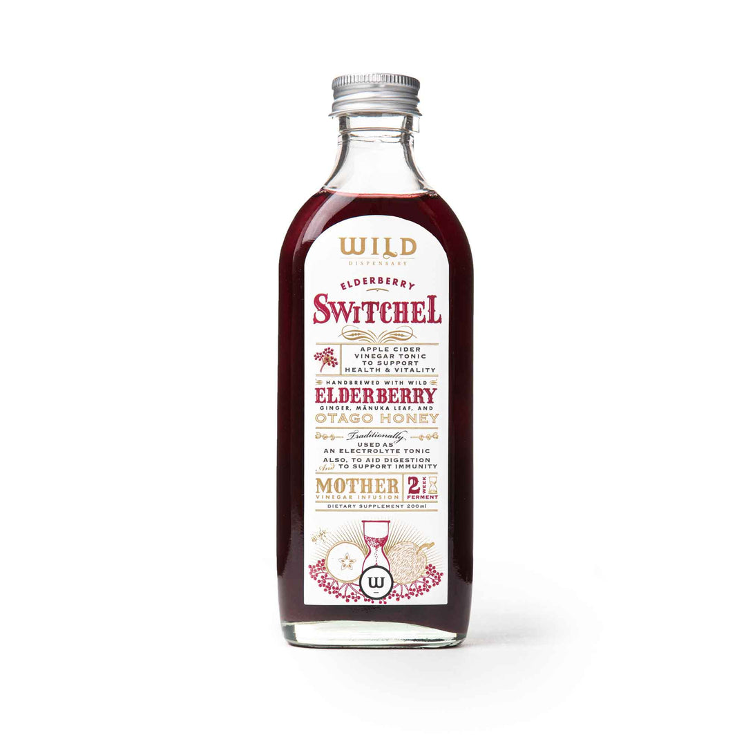 Elderberry Switchel 200ml