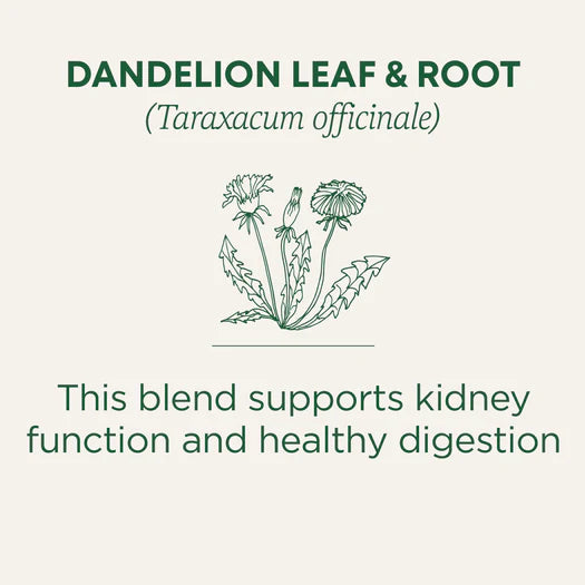 Dandelion Leaf & Root Tea 16 Tbag