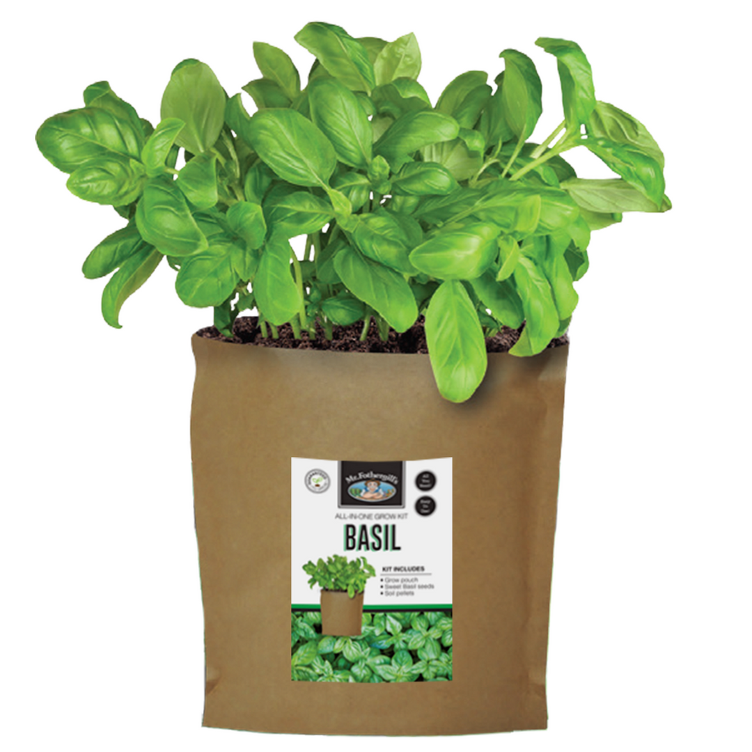 Parsley Grow In A Bag
