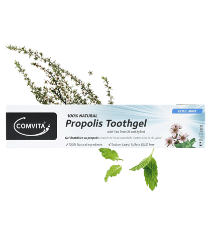 Oral Fresh Nat Toothgel 100G