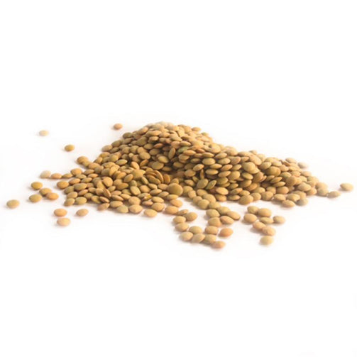Lentil Seeds 200G