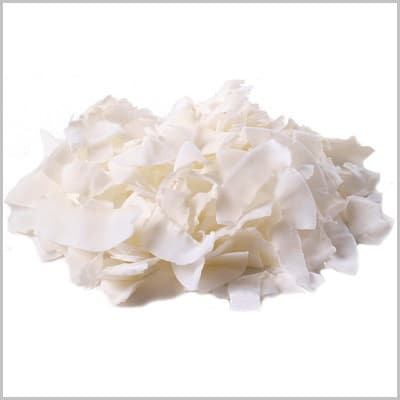 Coconut Chips Organic