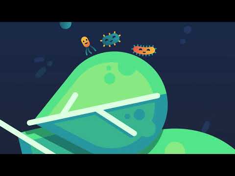 Gut Guard, 150G Powder