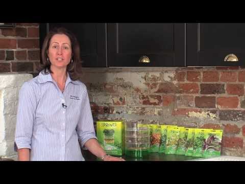 Kitchen Seed Sprouter
