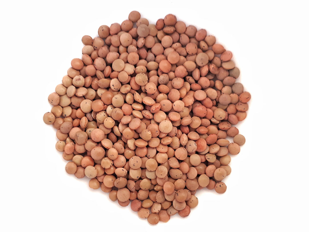 Lentils Brown Organic 500G