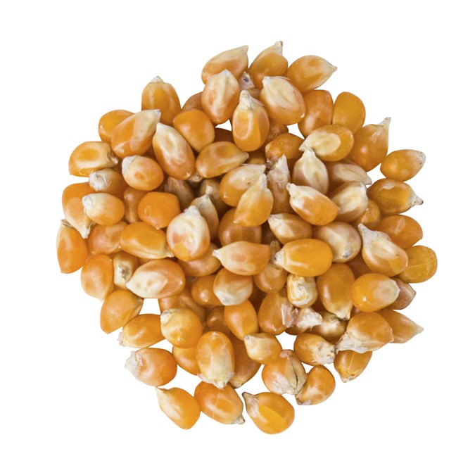 Pop Corn 500G