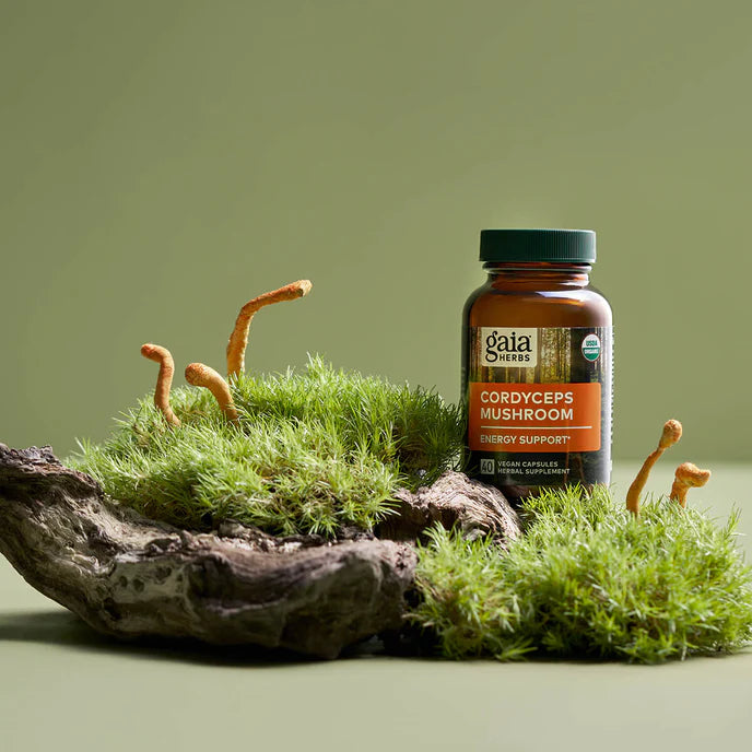 Cordyceps Mushroom 40vc