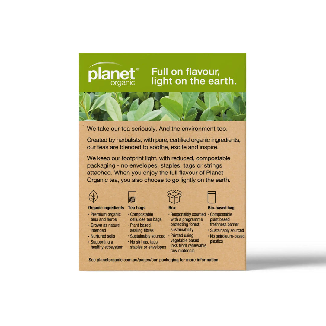 Yerba Mate Tea 25 Bags
