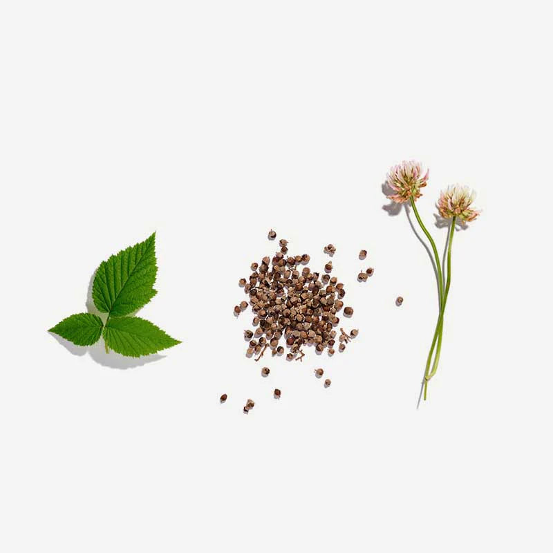 Love Tea Fertility 20