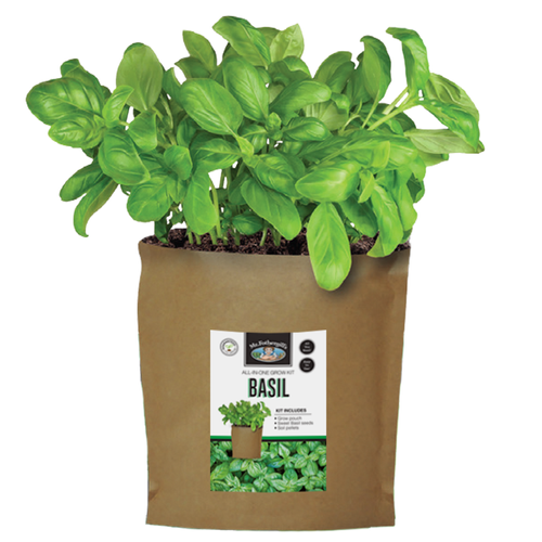 Basil Sweet Grow In Bag Plum Organics Papamoa