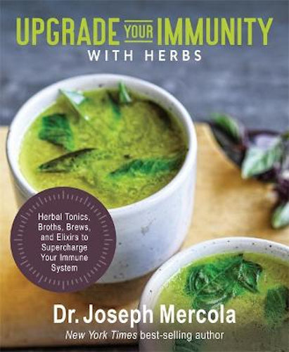 Upgrade Your Immunity With Herbs - Joseph Mercola