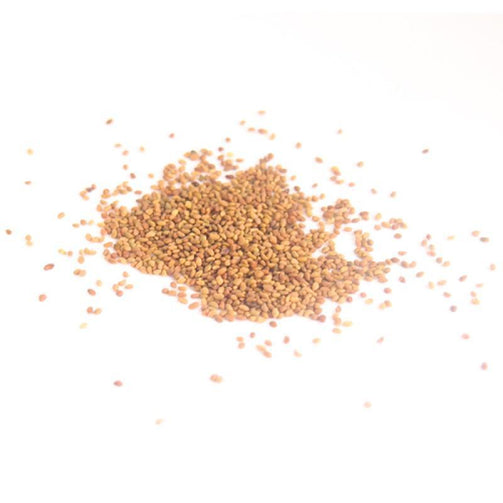 Alfalfa Seeds 200Gm