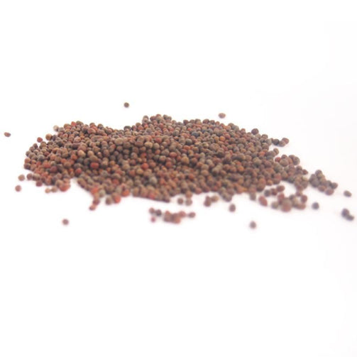 Broccoli Seeds 100G