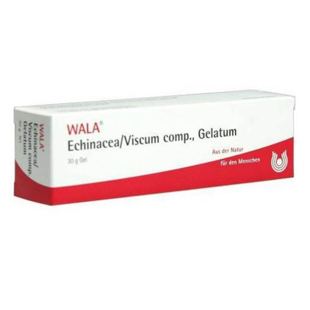 Echinacea Viscum Comp Gel